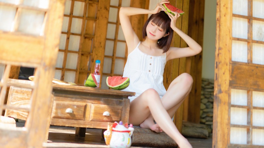 野田佳彦与齐藤铁夫宣布辞去共同代表职务