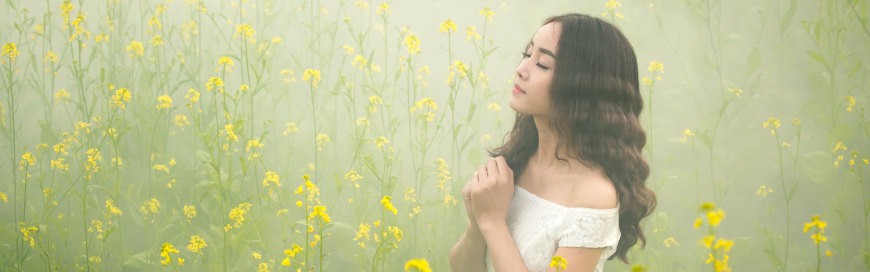 镜观·领航｜擘画胜利的蓝图
